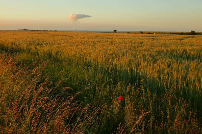 MIKROKOSMOS à Santranges (Val de Loire)