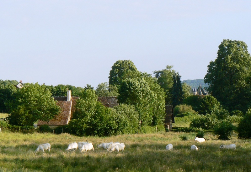 MIKROKOSMOS à Thou (Pays-Fort)