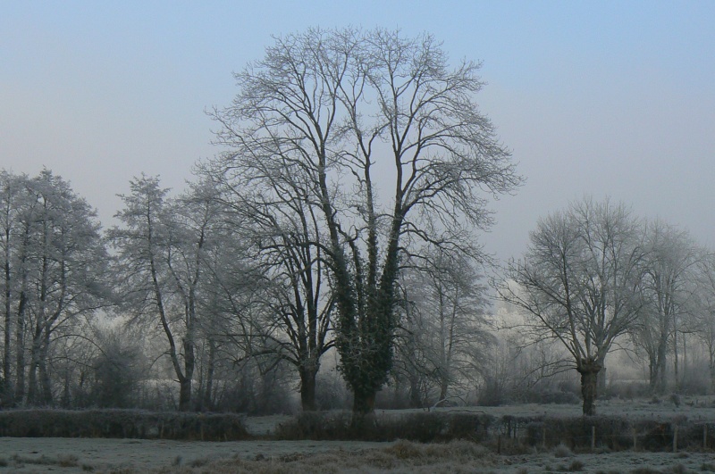 MIKROKOSMOS à Sens-Beaujeu (Pays-Fort)